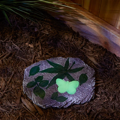 Butterfly Glowing Stepping Stone